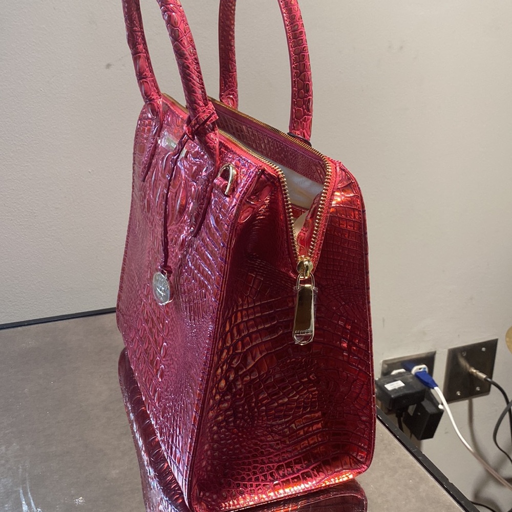Brahmin - Picture 8 of 15